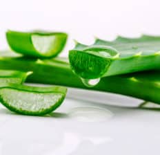 Aloe vera benefits