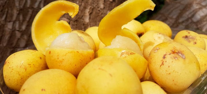 Marula Oil Benefits For Skin, Hair And Nails - Dr. Axe