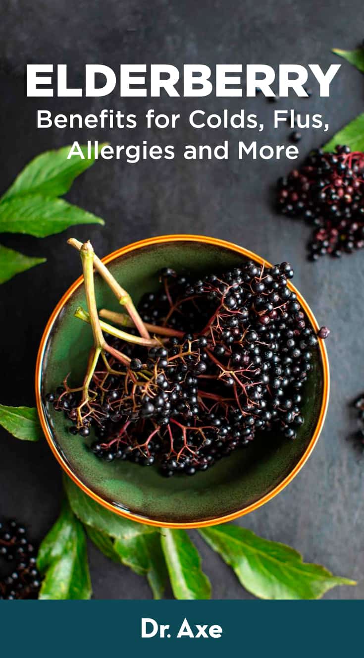 Elderberry Benefits Dosage Side Effects