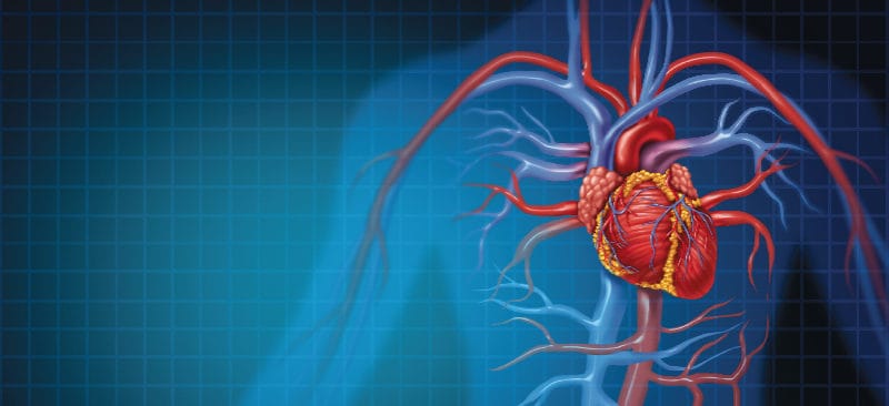 C-Reactive Protein Test, Causes, Symptoms and Treatment - Dr. Axe
