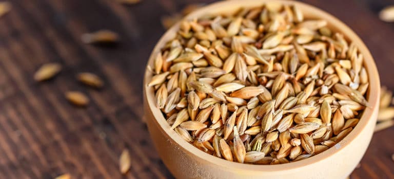 Barley Nutrition, Benefits, Recipes and Side Effects - Dr. Axe