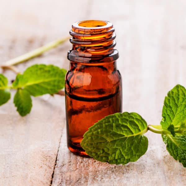 Peppermint Oil Uses, Benefits, Side Effects and More - Dr. Axe