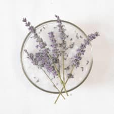 Sitz Bath Recipe with Frankincense and Tea Tree Oils-image