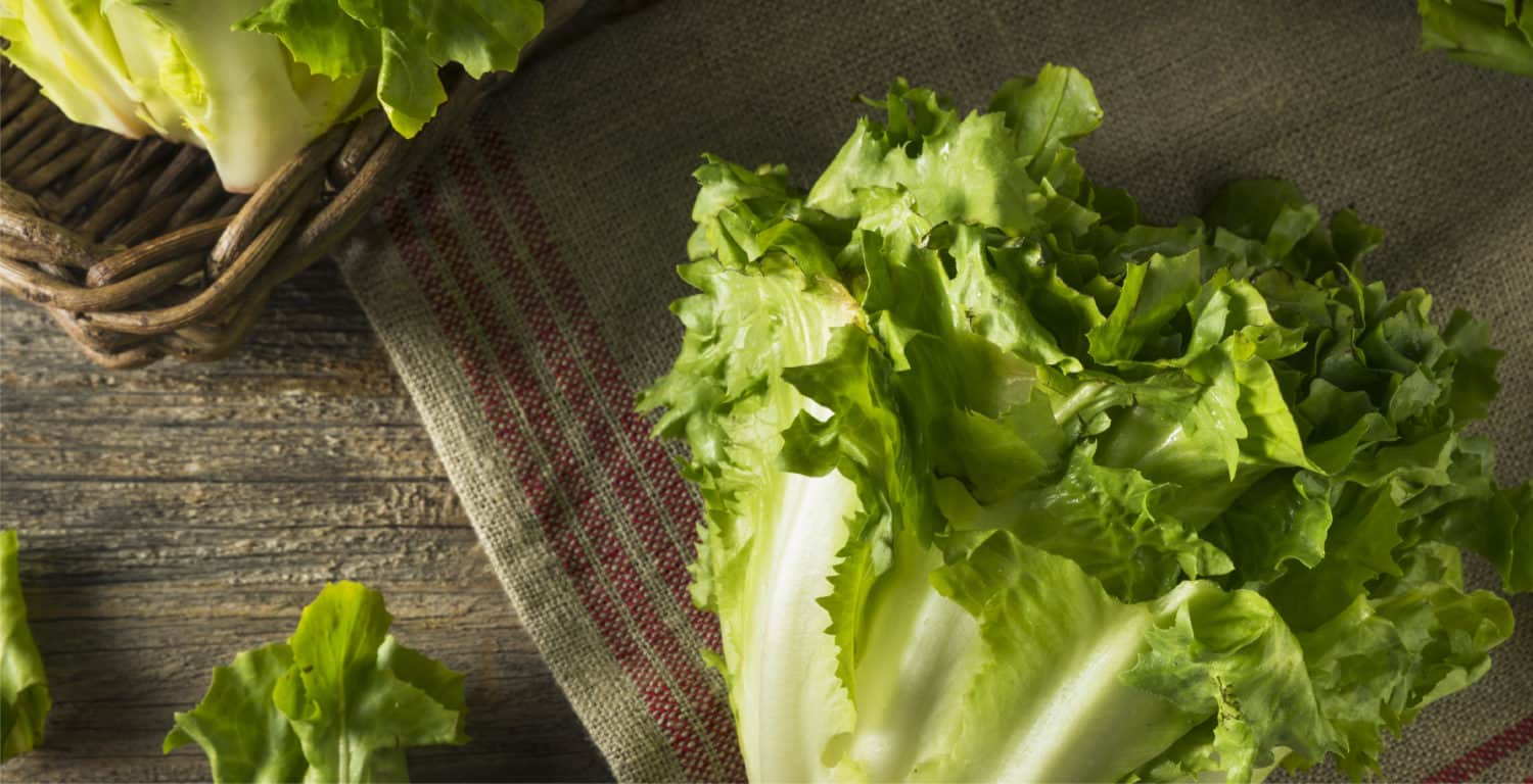 What Is Escarole Lettuce Benefits Nutrition And Recipes Dr Axe