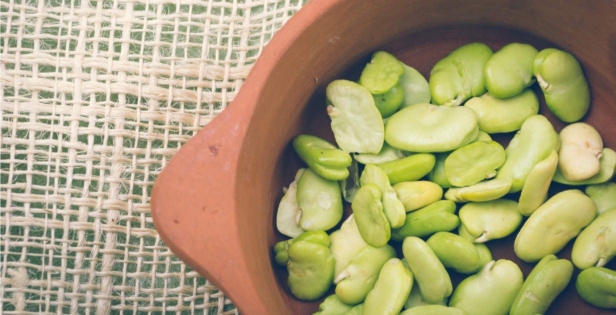 Lima Beans Nutrition Benefits Recipes And Risks Dr Axe