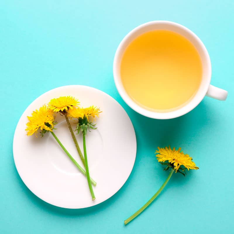 Dandelion Tea Benefits, How to Make and Side Effects - Dr. Axe
