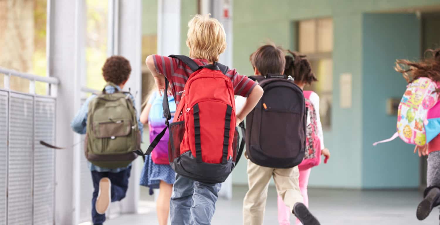 Backpacks and Back Pain How to Decrease the Risks Dr. Axe