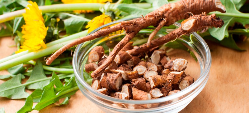 Dandelion Root Benefits Uses Interactions and Side Effects Dr. Axe