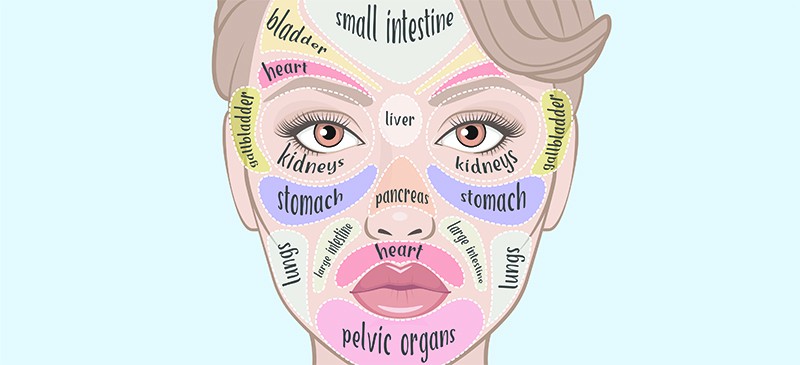 Chinese Medicine Face Chart