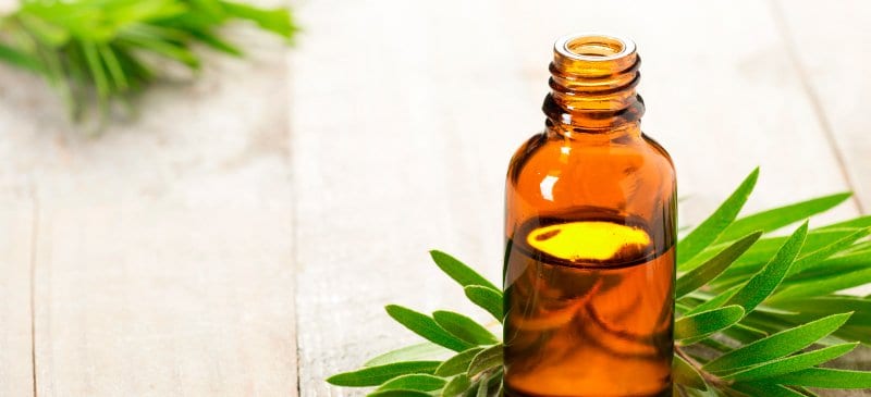 Tea tree oil for acne - Dr. Axe