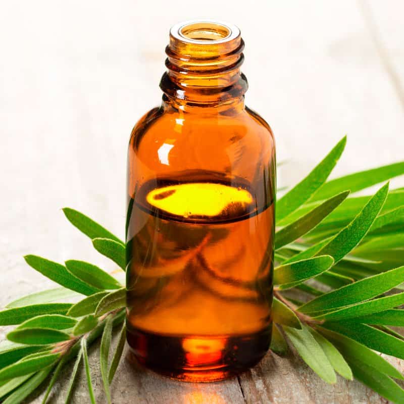 Soda acne for tree and tea baking oil Tea Tree