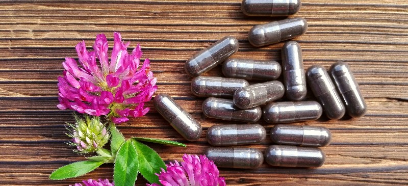 Red clover benefits - Dr. Axe