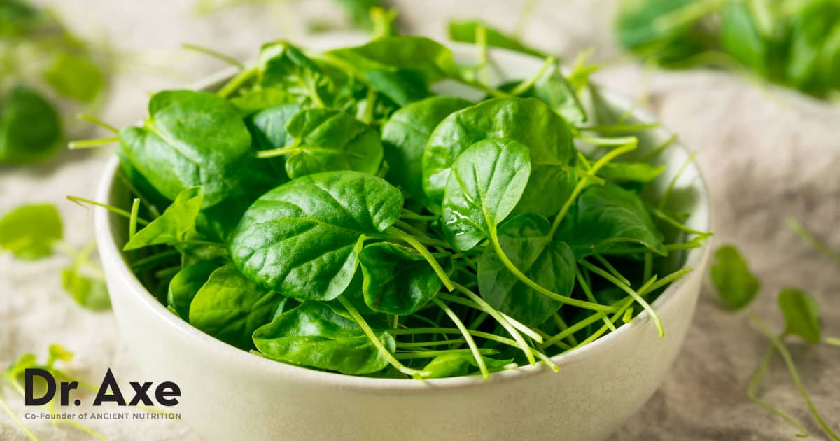 Watercress Benefits Nutrition Facts and Recipes Dr. Axe