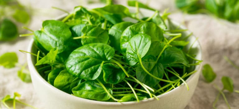 Watercress Benefits Nutrition Facts and Recipes - Dr. Axe