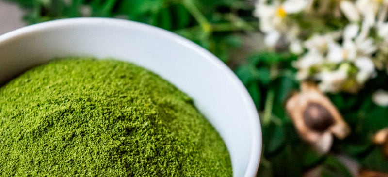 Moringa Benefits, Powder, Tea, Dosage, Risks and Side Effects - Dr