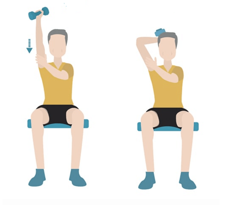 10 Chair Exercises for Seniors - Dr. Axe