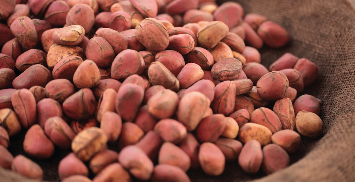 kola-nut-benefits-uses-side-effects-and-more-dr-axe