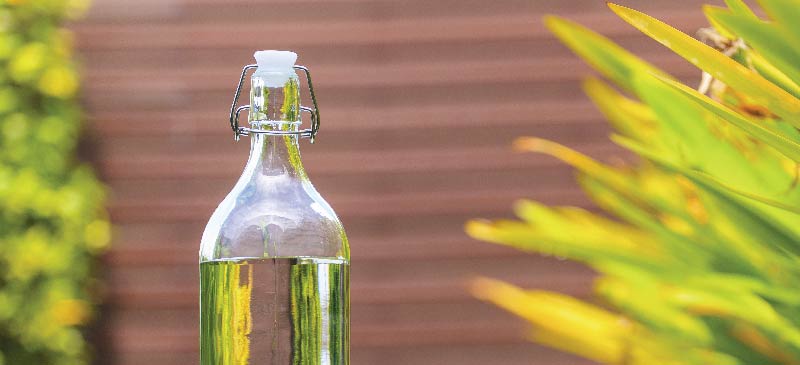 White Vinegar Uses and Benefits in Cooking and Household - Dr. Axe