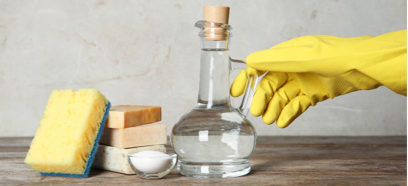 Does vinegar kill germs? - Dr. Axe