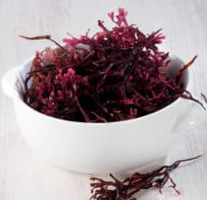 Sea moss - Dr. Axe