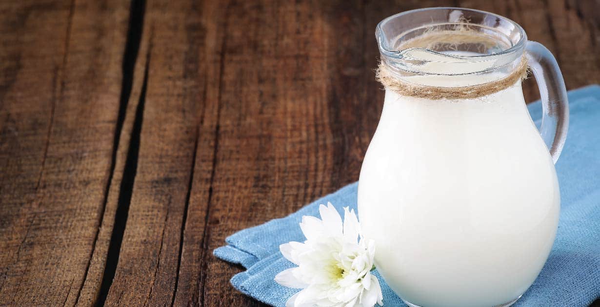 What Is Skim Milk Protein