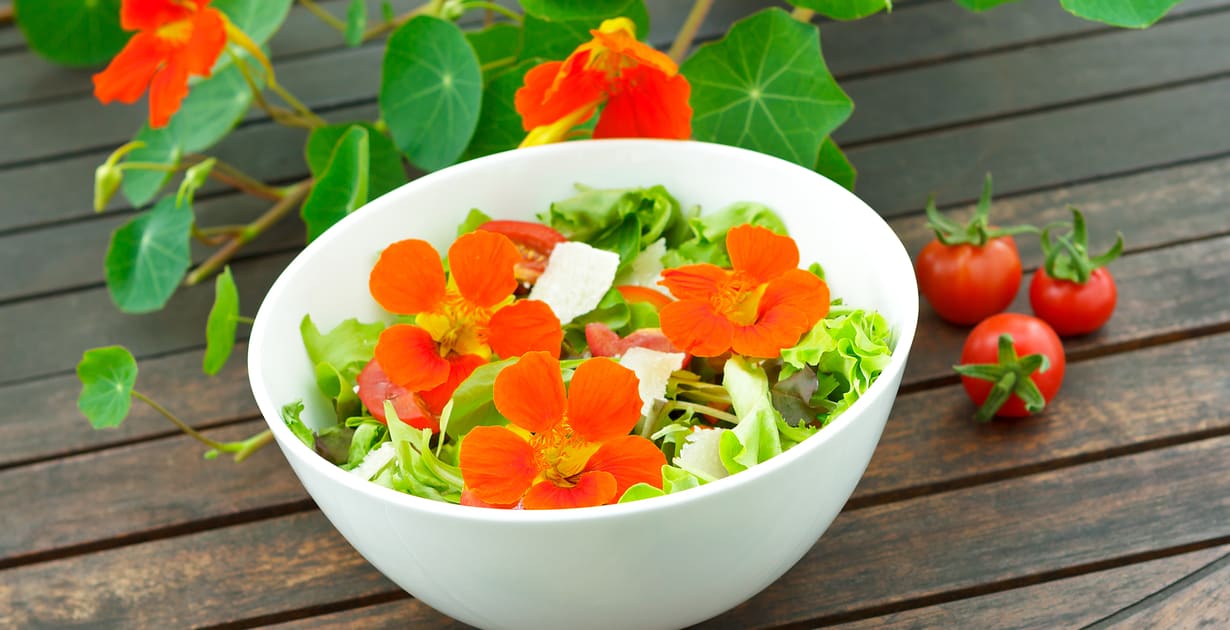 Nasturtium Uses Benefits Recipes How To Grow And More Dr Axe