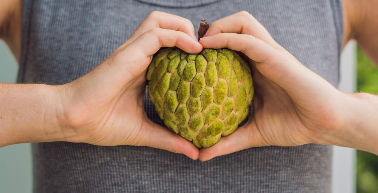 Cherimoya Benefits Nutrition Side Effects And How To Eat Dr Axe