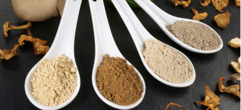 Mushroom Powder: The Versatile Superfood for Coffee \u0026 More