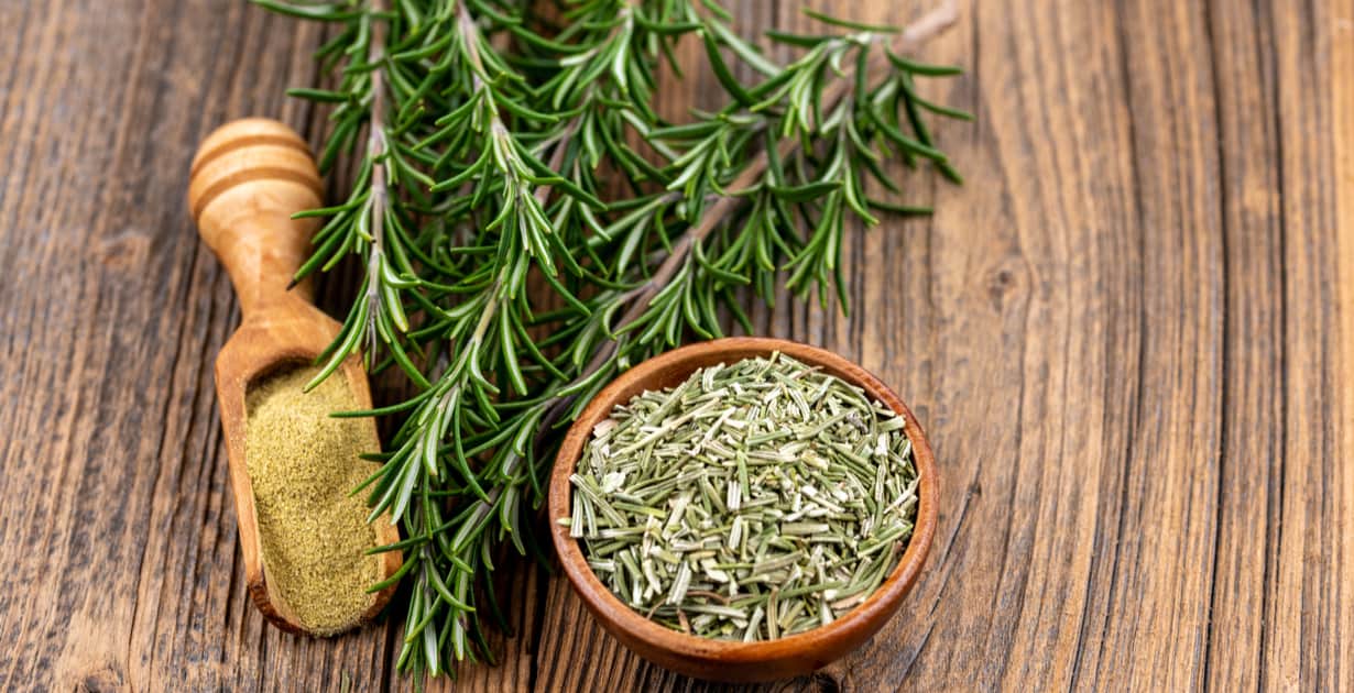 Rosemary Benefits, Uses, Side Effects, Interactions and More - Dr. Axe