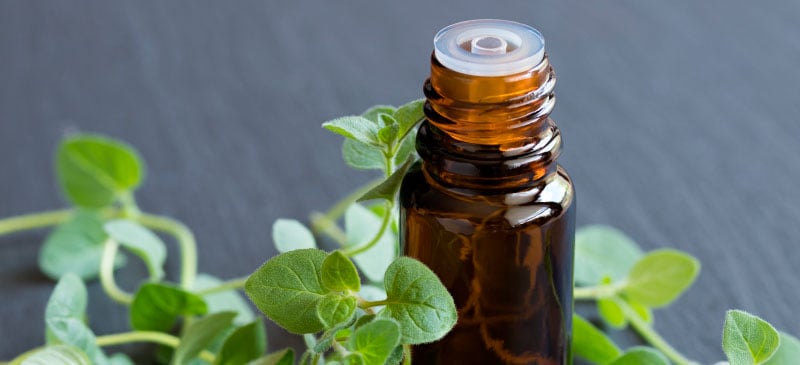 Spearmint (Tea and Essential OIl) Benefits and Side Effects - Dr. Axe