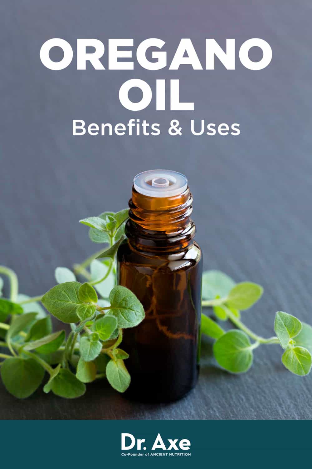 Oregano Oil Benefits and How to Use - Dr. Axe