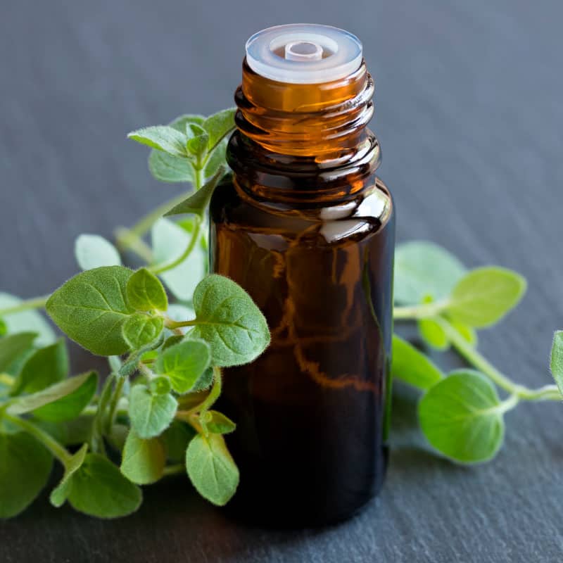 Oregano Oil Benefits, Uses, Dosage, Side Effects, Interactions