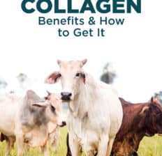 Bovine collagen - Dr. Axe