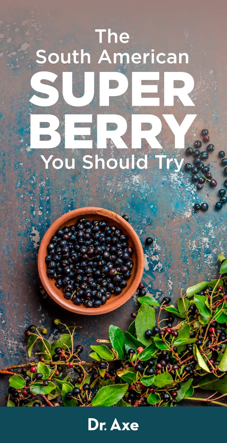 Maqui Berry Benefits, Uses, Recipes and Side Effects Dr. Axe