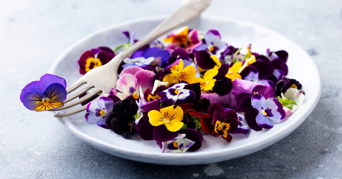 Top 12 Edible Flowers and Their Various Health Benefits - Dr. Axe