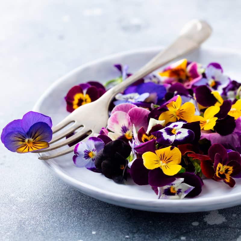 Top 12 Edible Flowers and Their Various Health Benefits - Dr. Axe