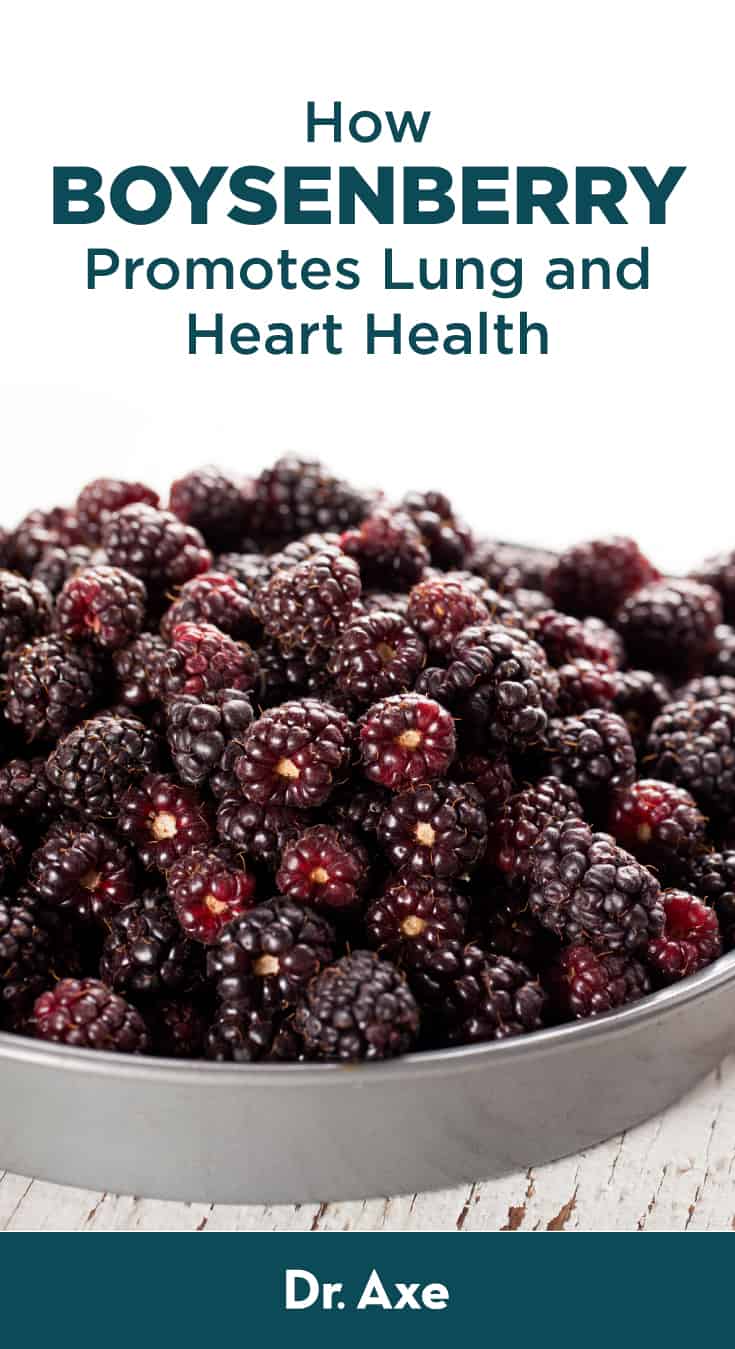 What Is Boysenberry? Benefits, Nutrition, Recipes, How to Grow Dr. Axe