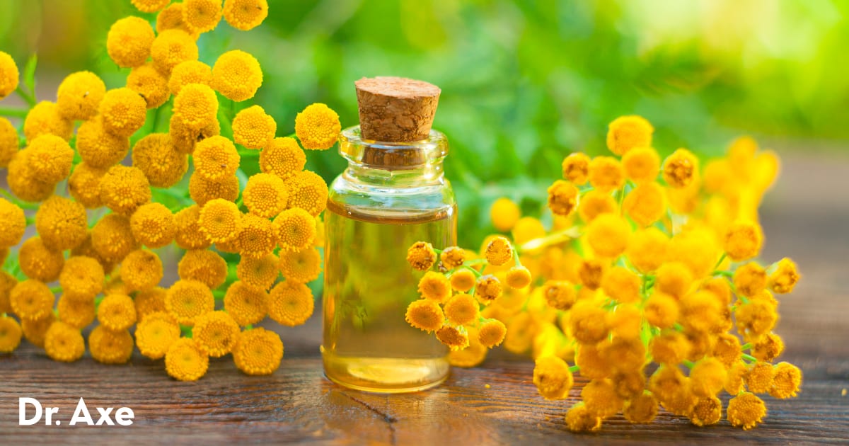 Blue Tansy Oil for Hair: Benefits, Uses, and Side Effects - wide 1