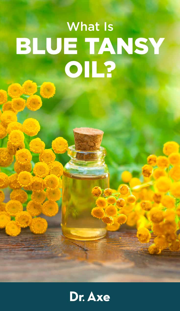 Blue Tansy Oil Benefits, Uses, Risks and Side Effects Dr. Axe