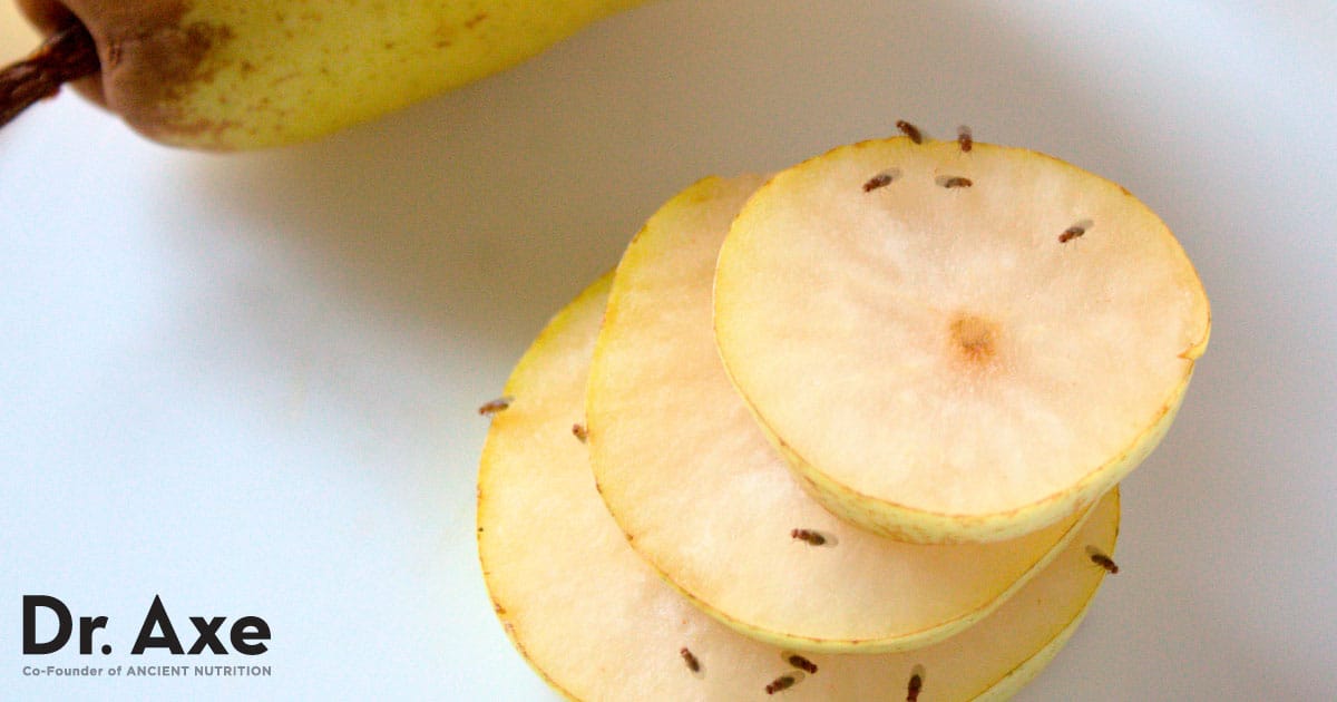 How to kill fruit flies, according to a scientist