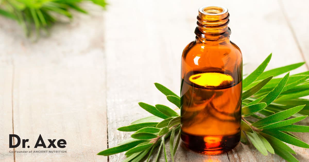 Tea Tree Oil Benefits, Uses and Potential Side Effects - Dr. Axe