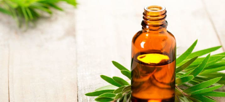 Tea Tree Oil Benefits, Uses and Potential Side Effects - Dr. Axe