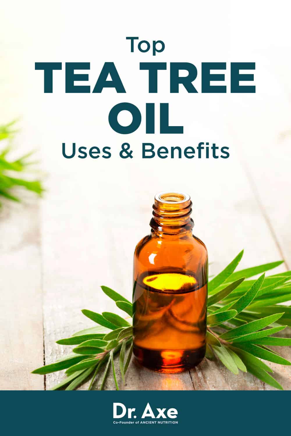 Tea Tree Oil Uses Benefits And Side Effects