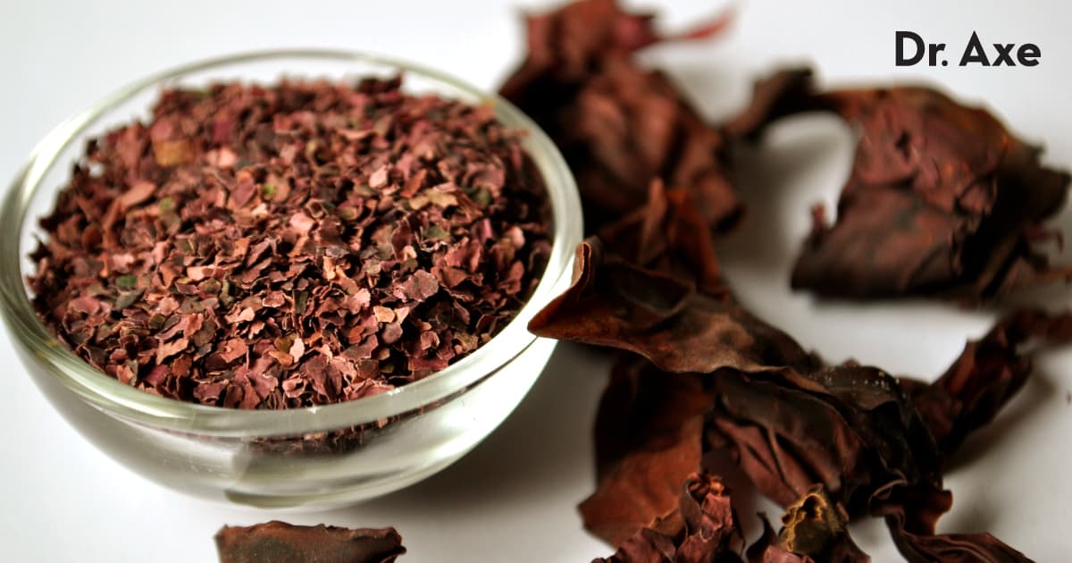 Dulse Seaweed Benefits, Nutrition, Uses and Side Effects Dr. Axe