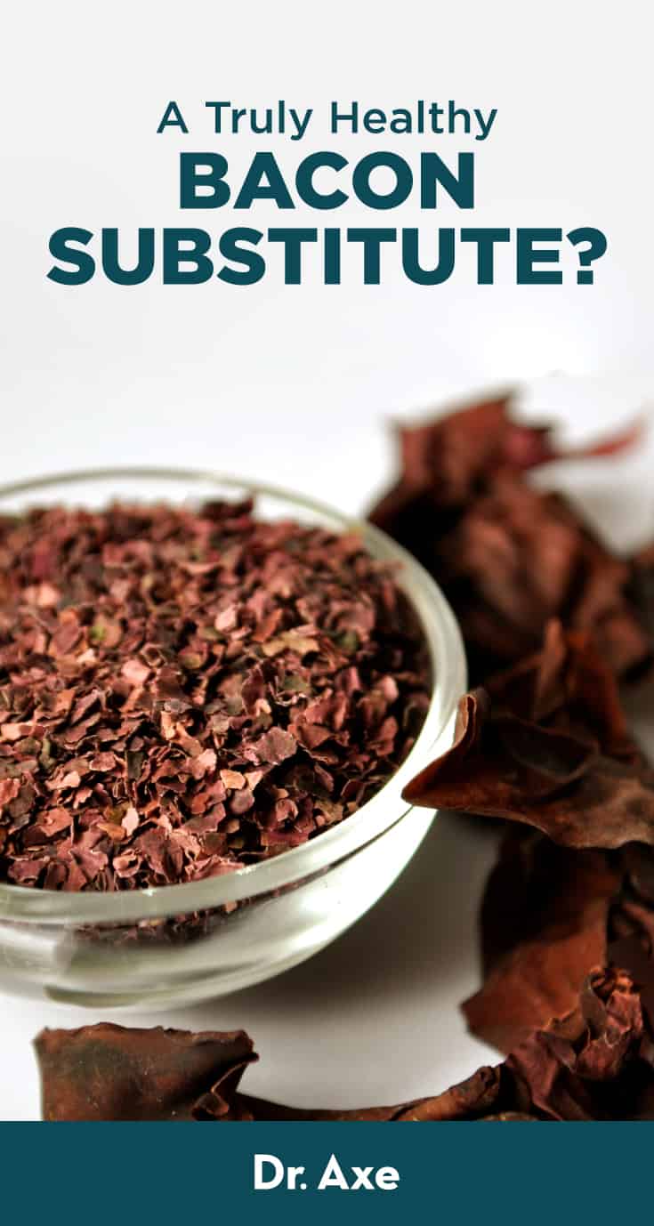 Dulse - Tiến sĩ Axe