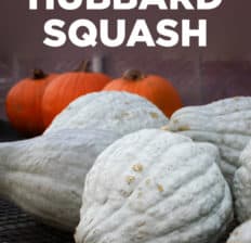 Hubbard squash - Dr. Axe