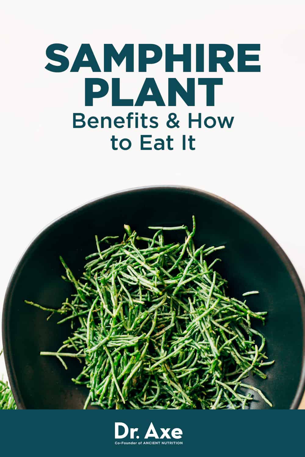 Samphire - Tiến sĩ Axe