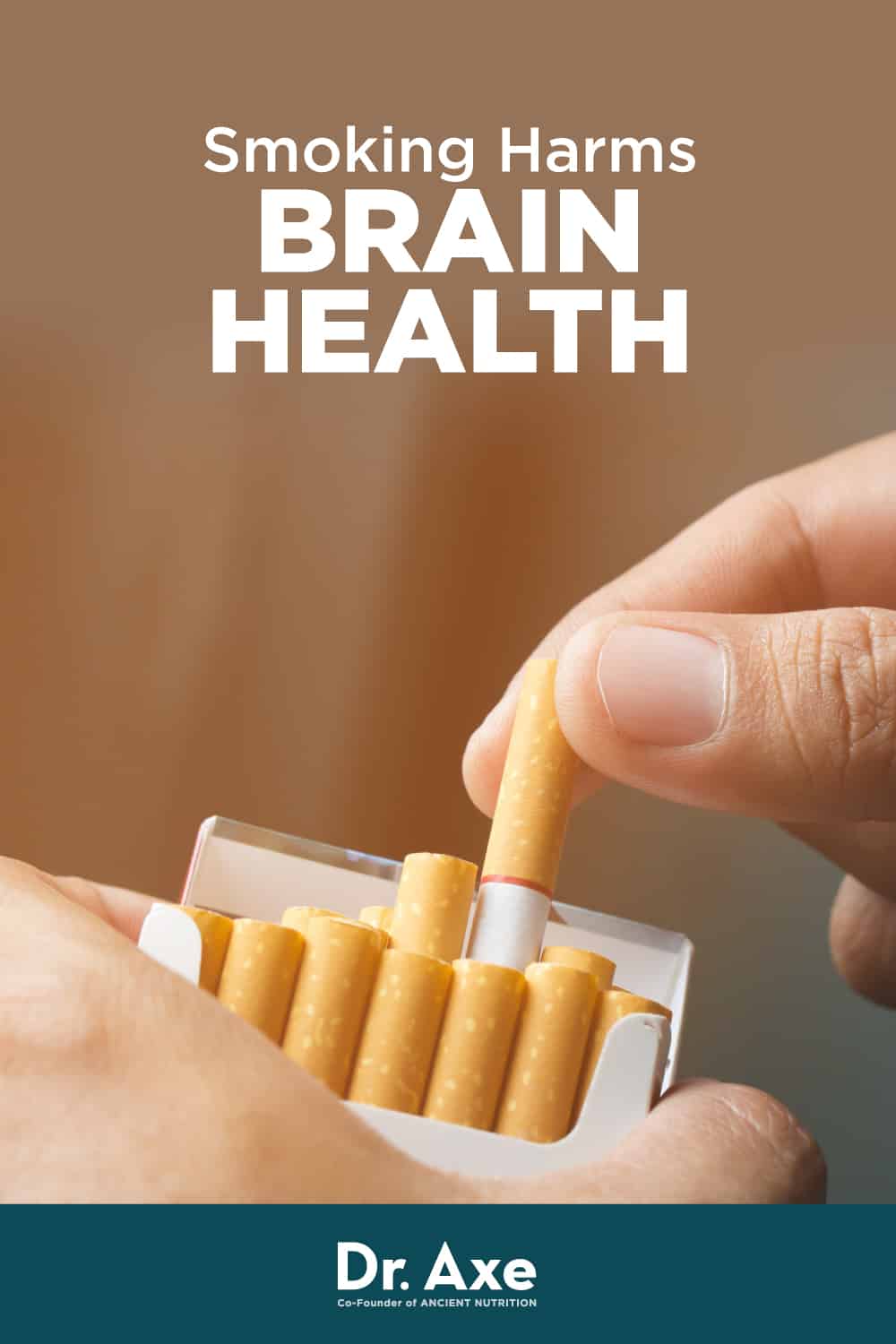 Hút thuốc lá gây hại cho sức khỏe não bộ - Tiến sĩ Axe