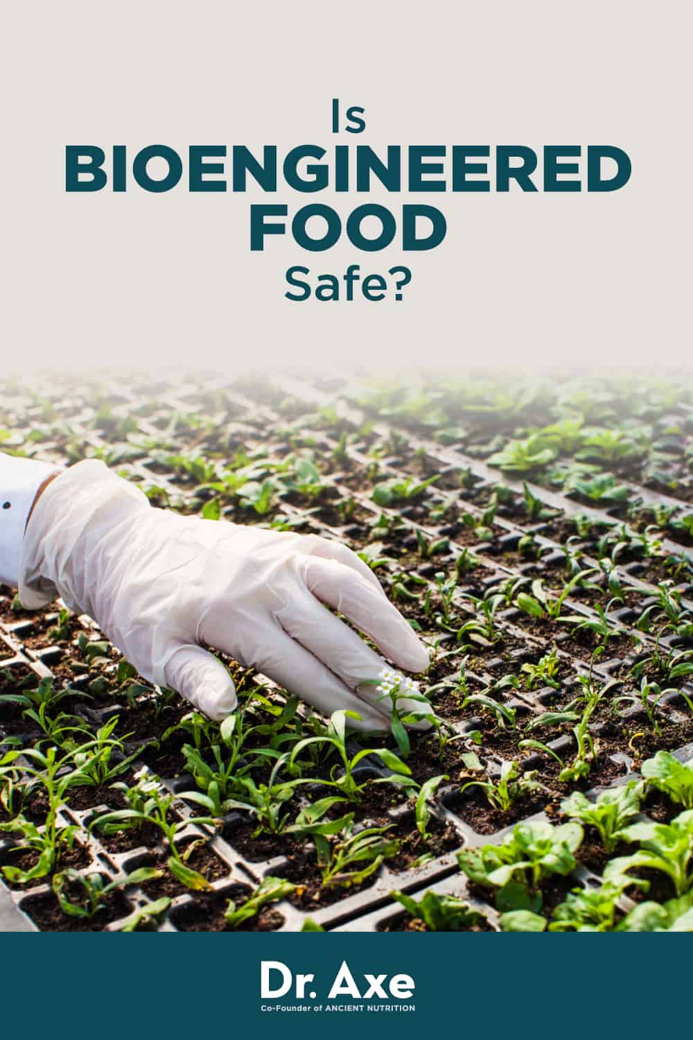 What Is Bioengineered Food New Laws Risks Plus Vs GMO Dr Axe