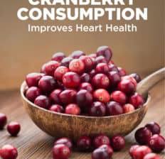 Daily cranberry consumption improves heart health - Dr. Axe